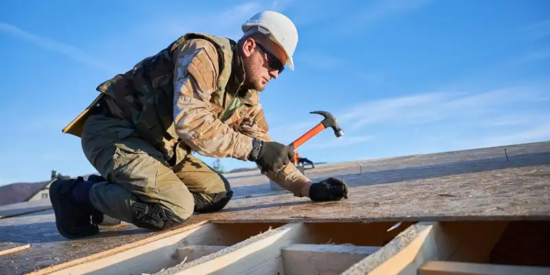 Processus de démoussage